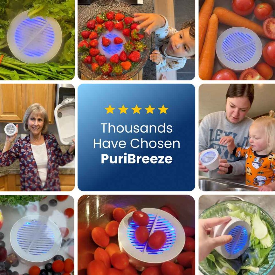 PuriBreeze portable food cleaner using OH-ion electrolysis technology